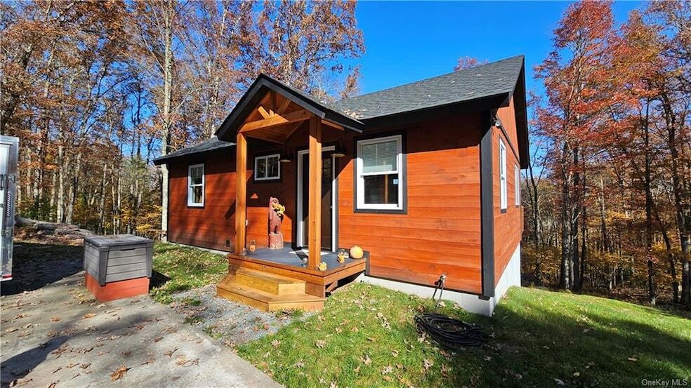 587 New Turnpike Rd, Cochecton, NY 12726 House Rental in Cochecton