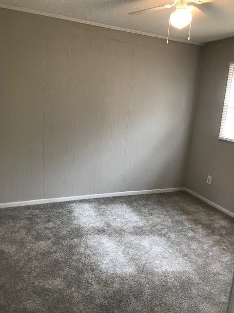 Building Photo - Newly Remodeled
