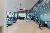 This fitness center in Aurora, Colorado offers a comprehensive exercise environment thoughtfully designed for a full range of workout routines. The space is anchored by a striking bold blue accent wall adorned with horizontal white stripes, lending a dynamic and energetic aesthetic throughout. Light herringbone-patterned hardwood flooring extends across the entire floor, providing both durability and a clean, modern look.

The cardio zone lines the windowed wall, featuring multiple treadmills, elliptical trainers, and a stair climber. A row of large windows along this side floods the area with natural light and offers views of the surrounding neighborhood. An overhead ceiling fan ensures comfortable airflow during intense workouts.

The strength and free weights area is well-stocked with a full dumbbell rack, medicine balls, stability balls, cable machines, a power rack with a flat bench, and spin bikes — accommodating a wide variety of training styles. Full-length mirrors positioned along one wall expand the sense of space and allow for proper form checks. Recessed lighting supplements the natural light, keeping the environment bright and welcoming.

A small storage cubby unit near the entrance provides convenient organization, and glass double doors create a seamless, open entry point. The overall design balances functionality with contemporary style, making this fitness center a well-rounded facility for residents in Aurora, CO.