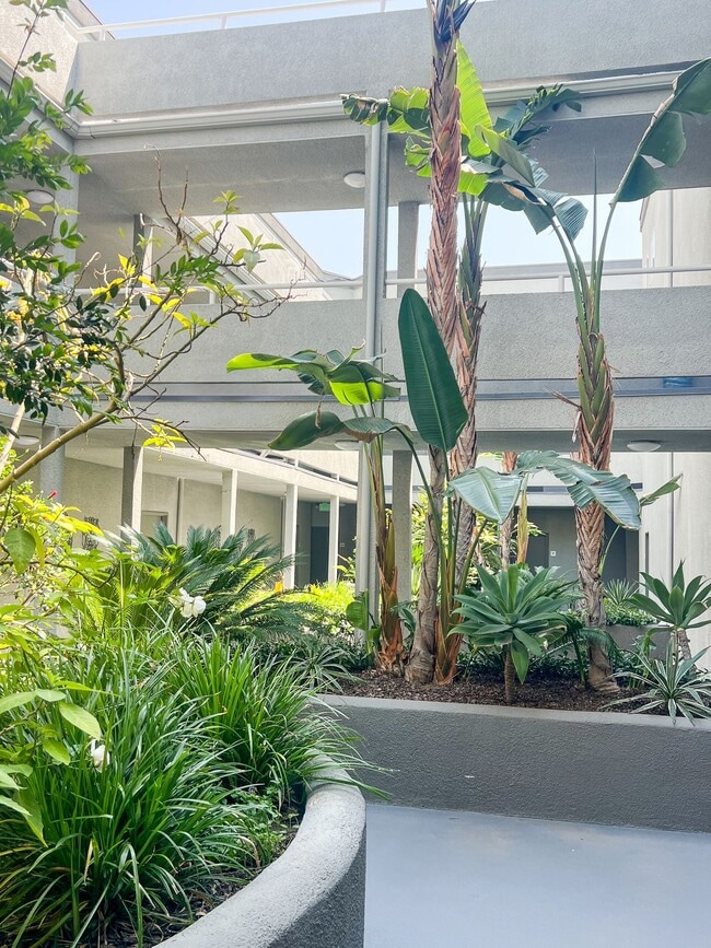 Building Photo - Cambridge Court Apartments