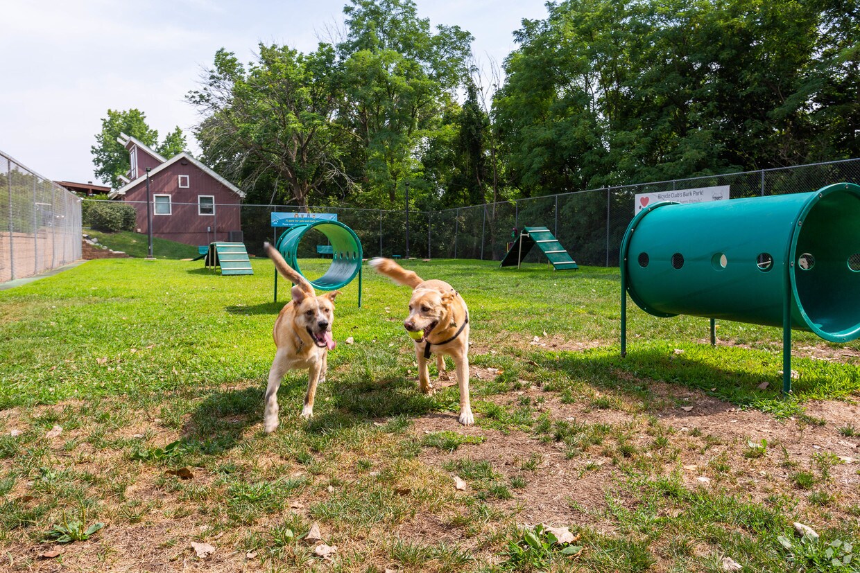 Parque para perros - Bicycle Club Apartments
