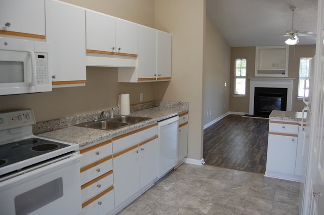 Kitchen and living room - 4010 Elkin Ridge Dr