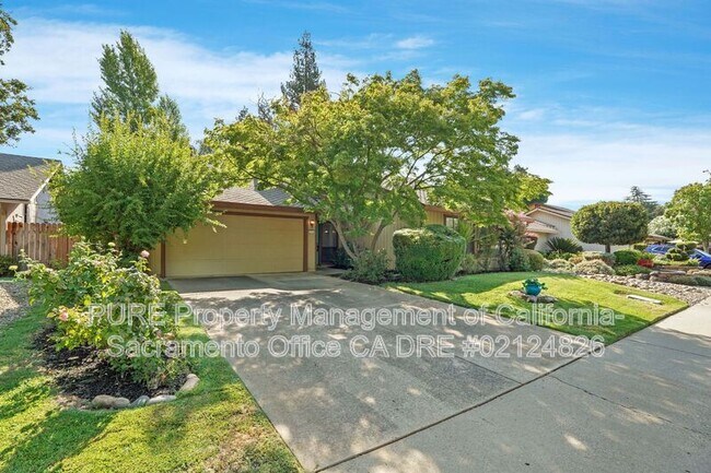 Building Photo - 3316 Oak Stream Ct