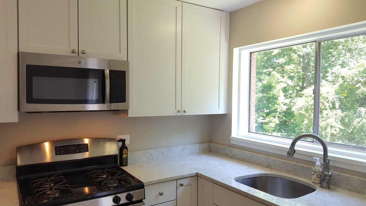 10655 Weymouth St Unit 3, Bethesda, MD 20814 Condo for Rent in