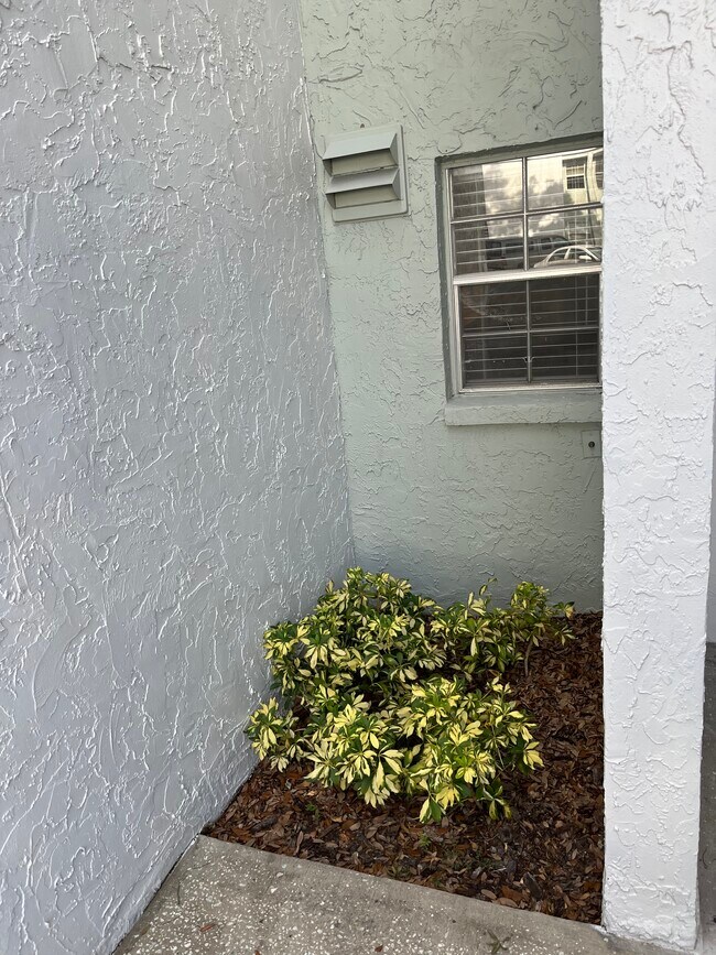 Foto del edificio - 3803 N Oak Dr