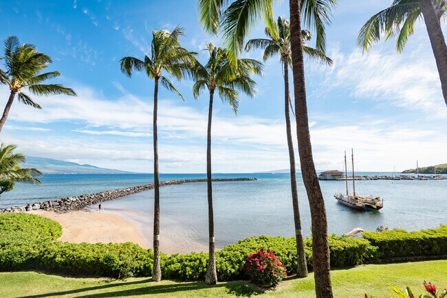 Building Photo - 30 Hauoli St