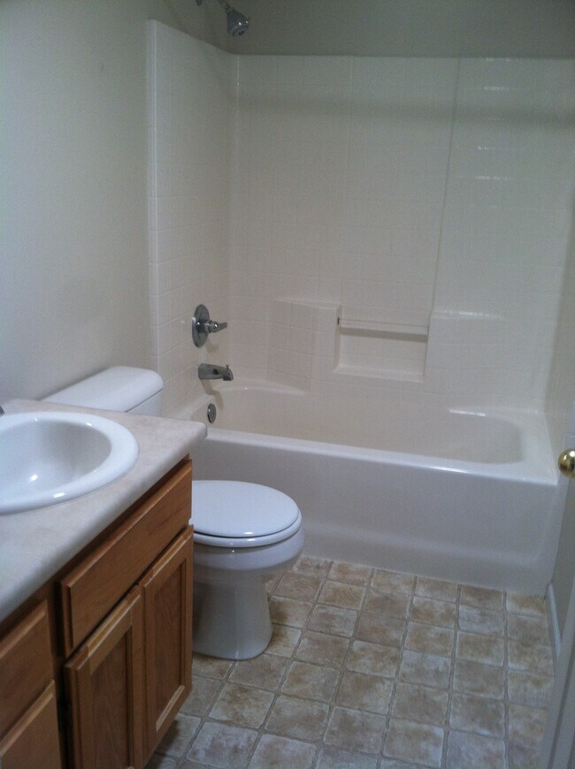 hall bath - 1409 Andrew Dr