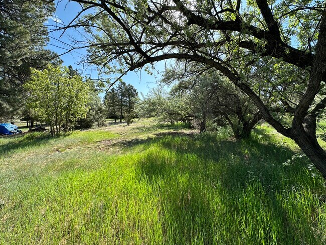 Building Photo - 2016 N Fox Hill Rd