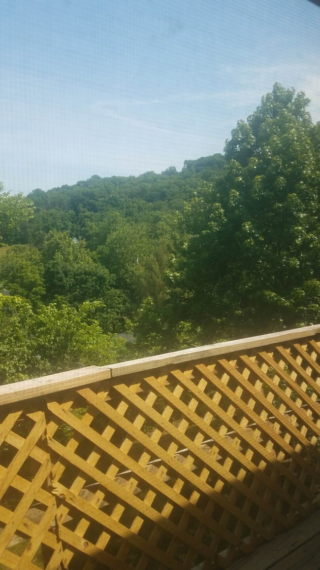 Balcony view - Patriot of Brenmick (FKA Brenmick)