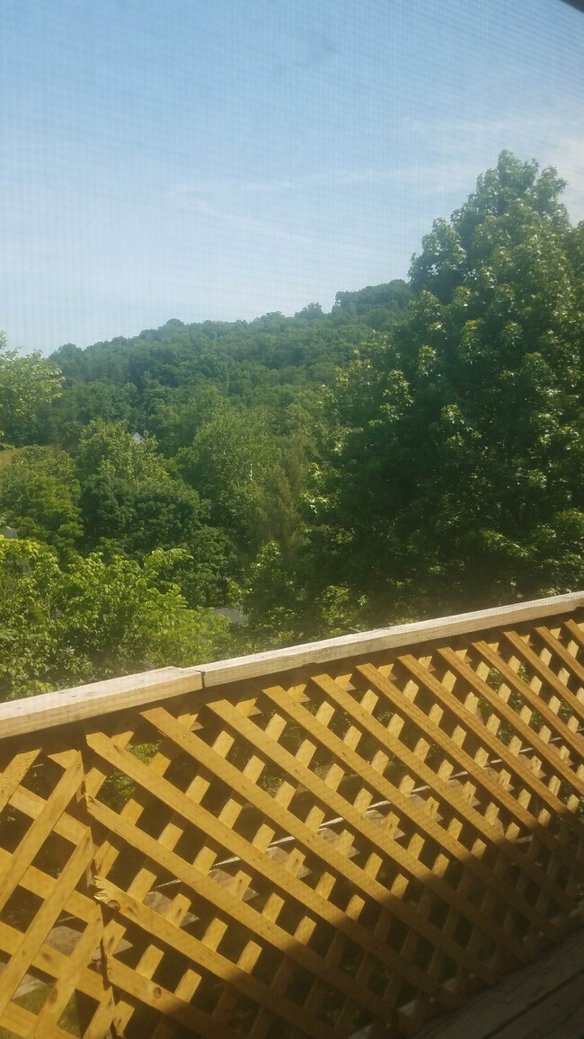 Vista desde el balcón - Patriot of Brenmick (FKA Brenmick)