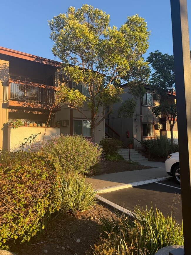 Foto del edificio - 5422 Adobe Falls Rd