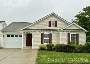 Building Photo - 3206 Salud Ln