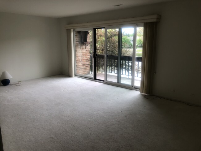 Living room - 301 Lake Hinsdale Dr