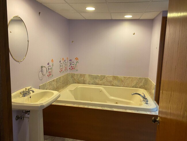 Jacuzzi in basement - 1039 Lakewood Cir