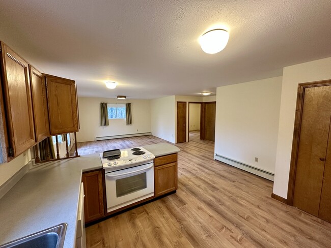 Kitchen into main living room - 49 Overlock Rd