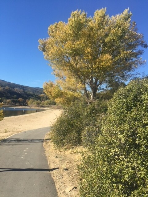 hiking lake Silverwood - 17085 Gray Pine Pl