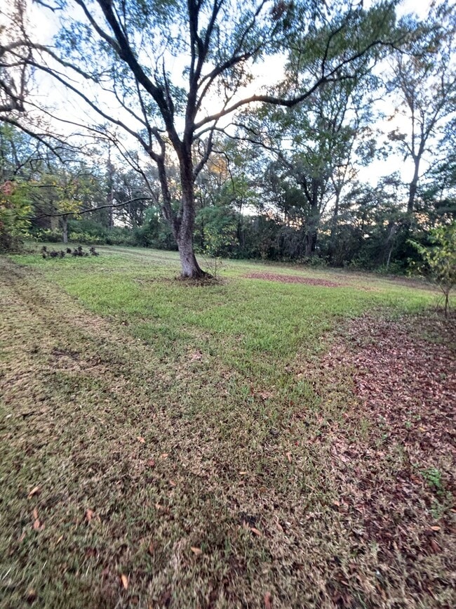 Foto del edificio - 12500 Holey Rd