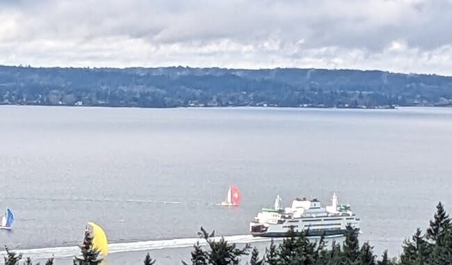 It is rare and special to have a front row seat to watch a ferry navigating through a regatta! - 8261 Northrop Plz SW Apartments