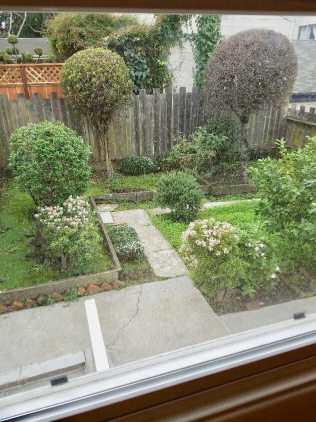 Foto principal - 2827 Octavia St
