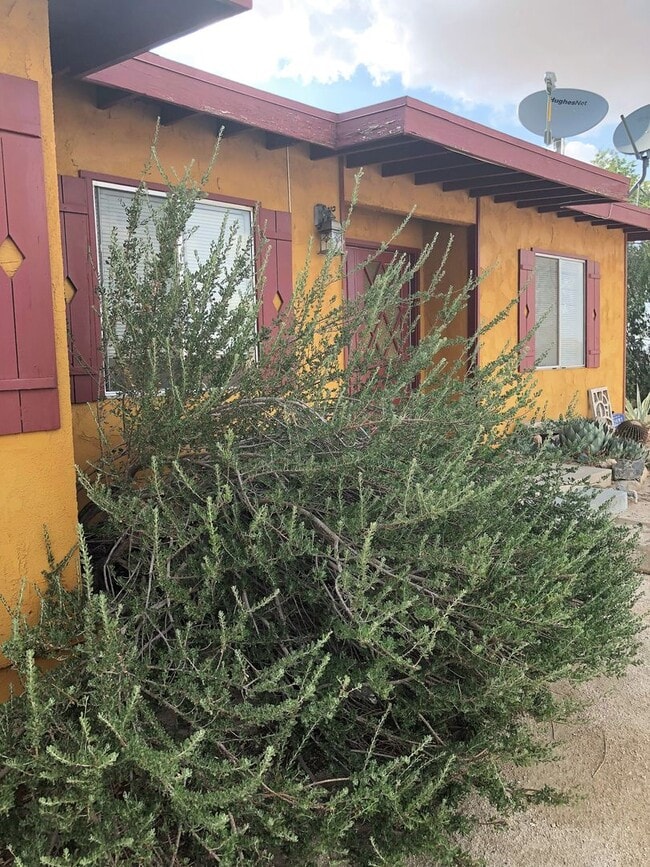 Foto del edificio - AVAILABLE NOW