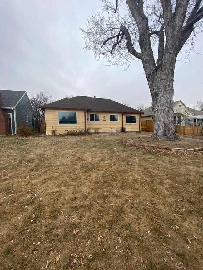 Foto del edificio - Beautiful 2 bedroom home in Chaffee Park with Huge Studio