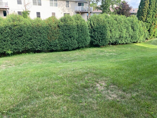 Foto del edificio - 1542 Lucy Dr