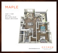 Maple