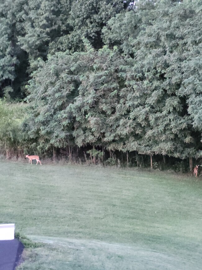 Foto del edificio - 1556 Farmersville Rd