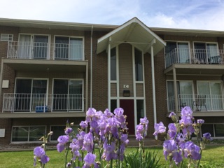 Building Photo - Village Shore Apartments