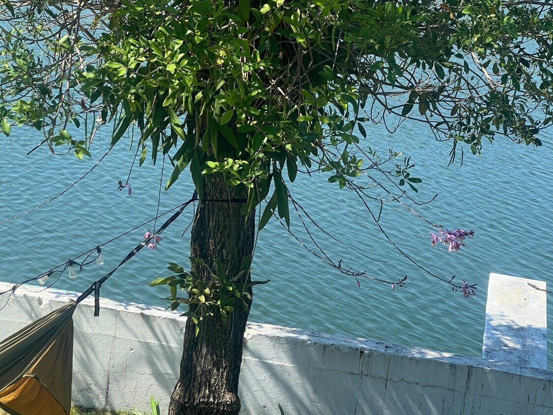 Foto del edificio - 425 NE 103rd St