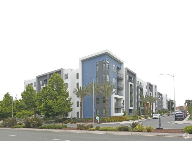 The Lex Apartments San Jose