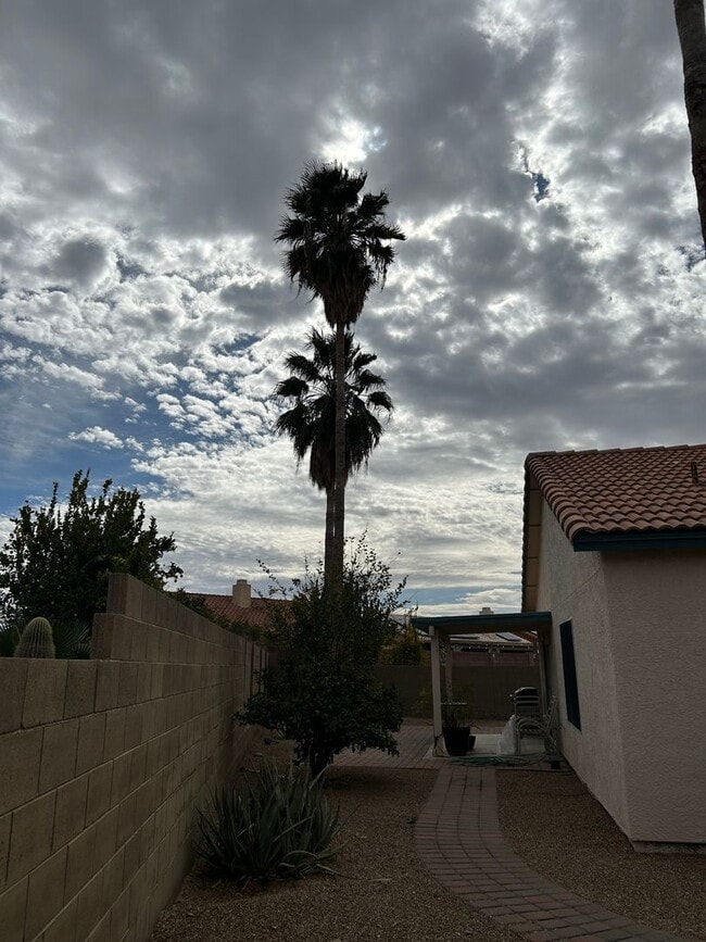 Building Photo - Charming 3BR House in Tucson