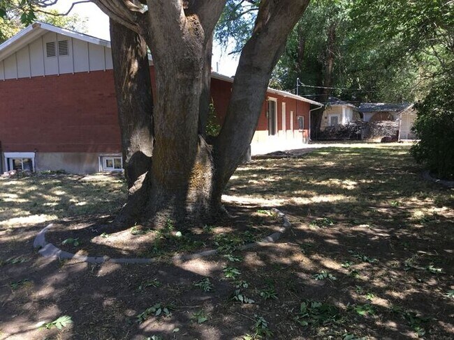 Building Photo - 4 Bedroom 2 Bath Home 2 Car Garage. Dog Fr...