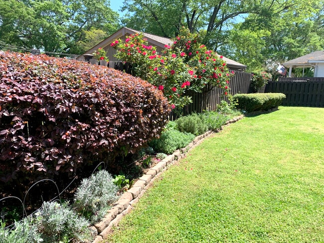 Building Photo - 22 Cureton St