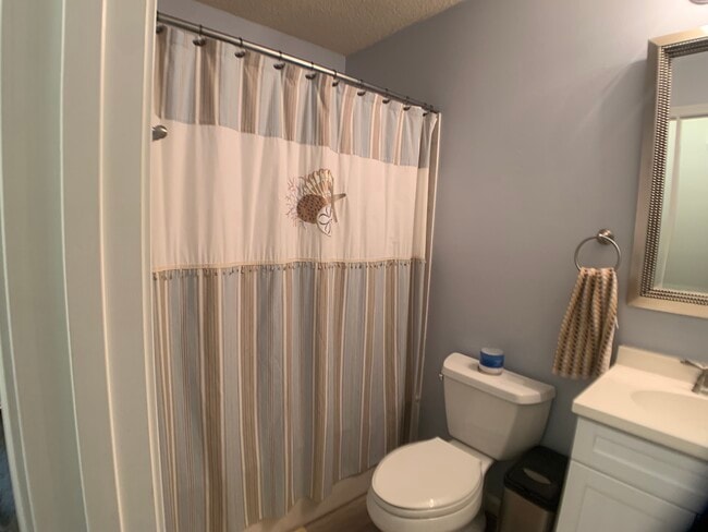 Guest Bathroom - 205 Evergreen Dr