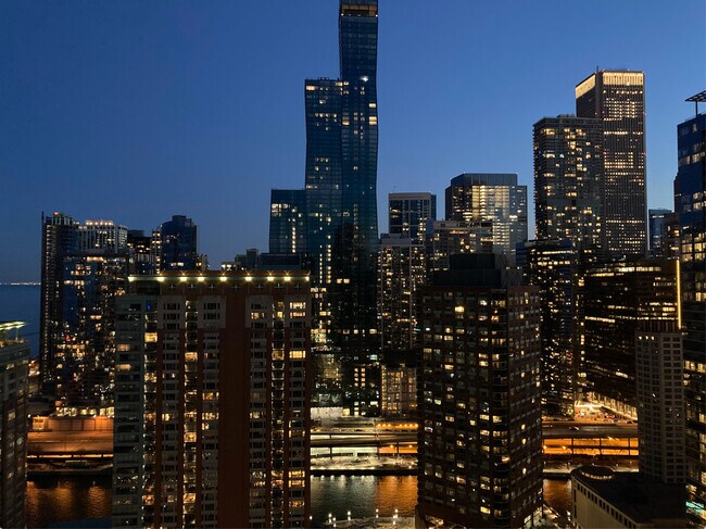 Foto del edificio - 505 N McClurg Ct