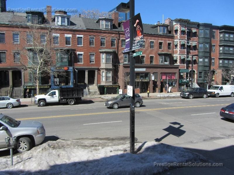 586 Tremont St Unit 1, Boston, MA 02118 Apartment for Rent in Boston, MA
