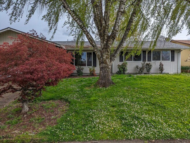 Foto del edificio - 538 49th Ave SE