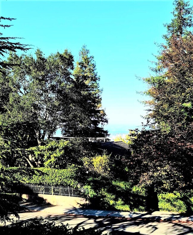 Foto del edificio - 560 Mountain Ave