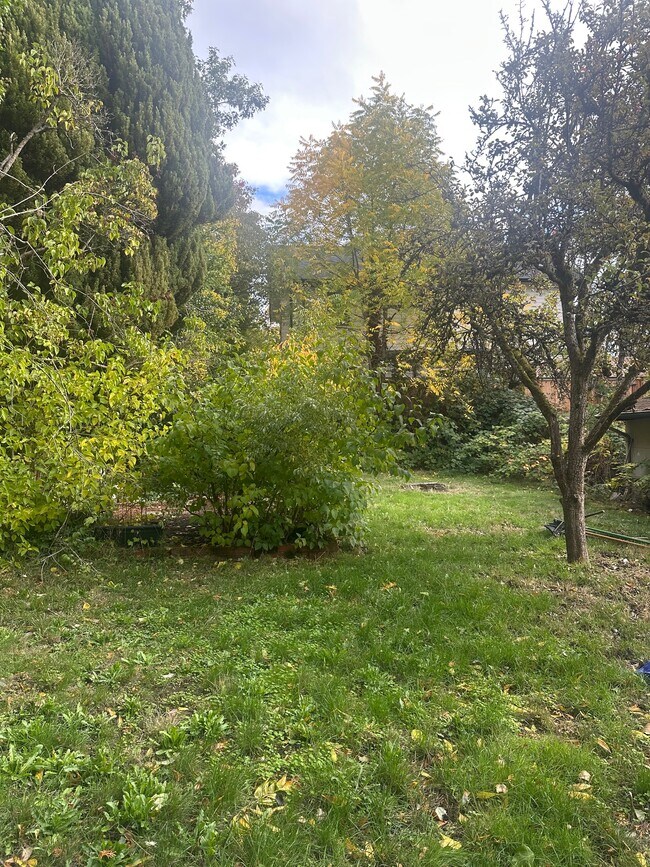 Patio trasero - 8018 Densmore Ave N