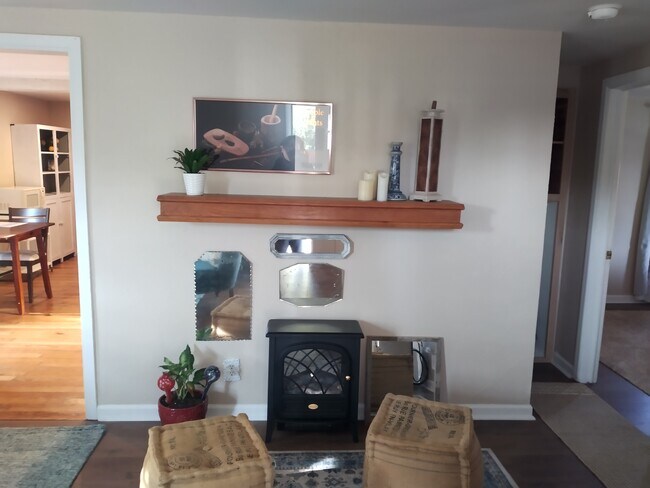 Ven y siéntate frente a la "chimenea". - 2914 Woodlawn Avenue