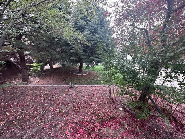 Back Lawn - 180 Lake St E