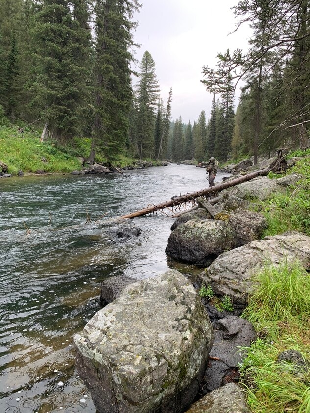 9 Wilford Ave Unit 2, Branford, CT 06405 Apartments in Branford, CT