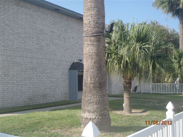 Building Photo - 5317 N 17th St