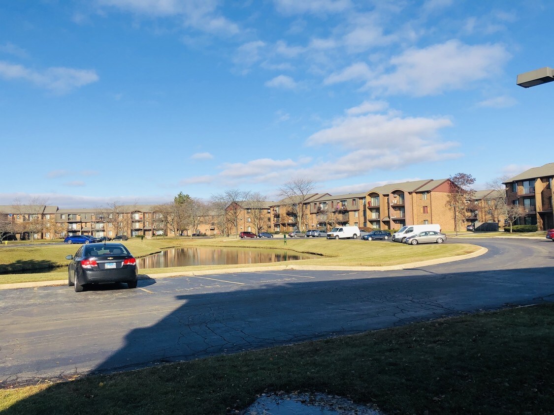 649 Briar Hill Ln, Addison, IL 60101 Condo for Rent in Addison, IL