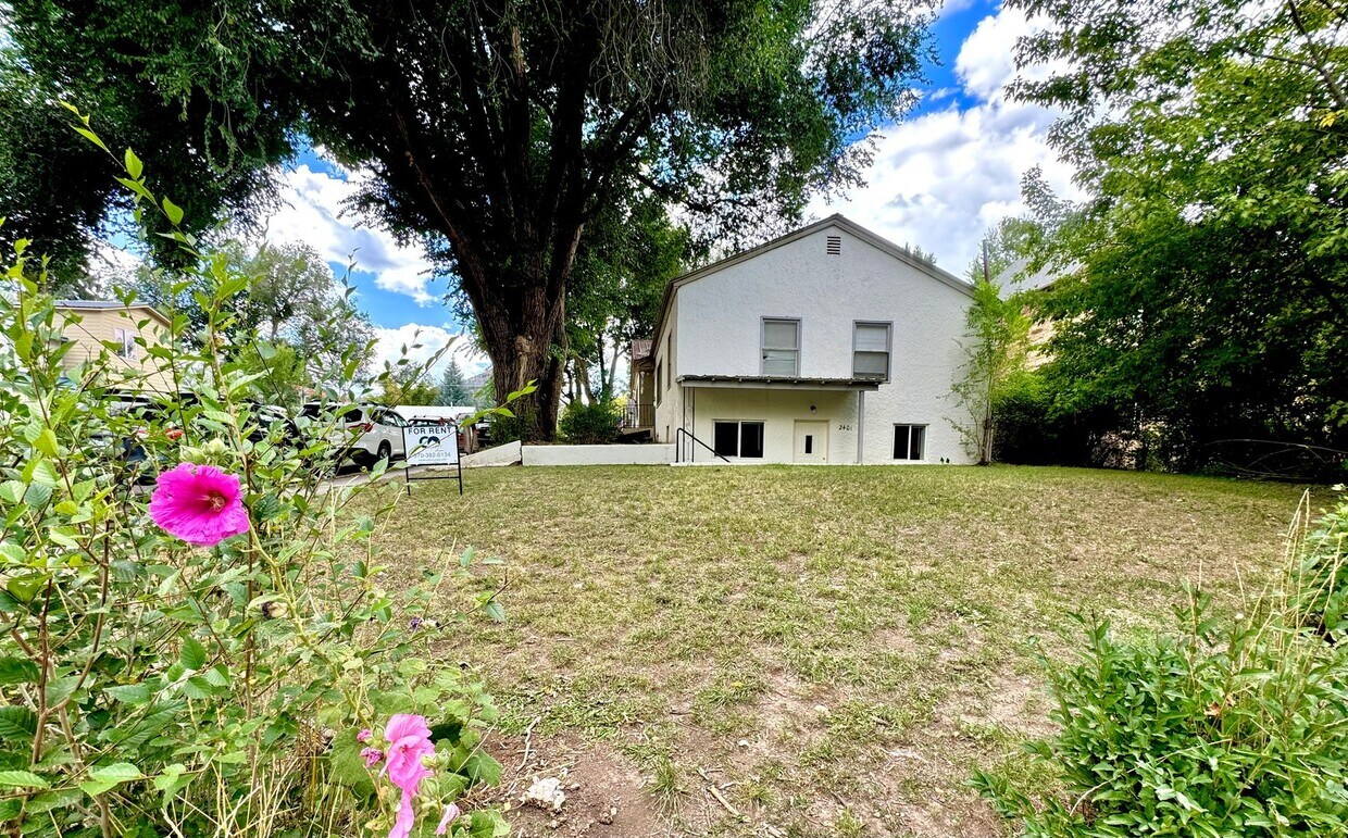 Primary Photo - Recently Renovated Spacious 4-Bedroom Triplex