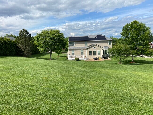 Back of house - 1901 Orchard Hill Dr