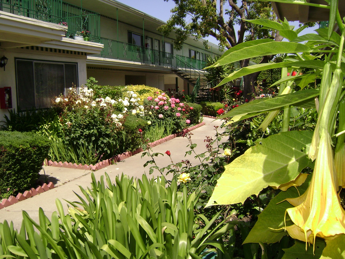 Primary Photo - The Colonial House