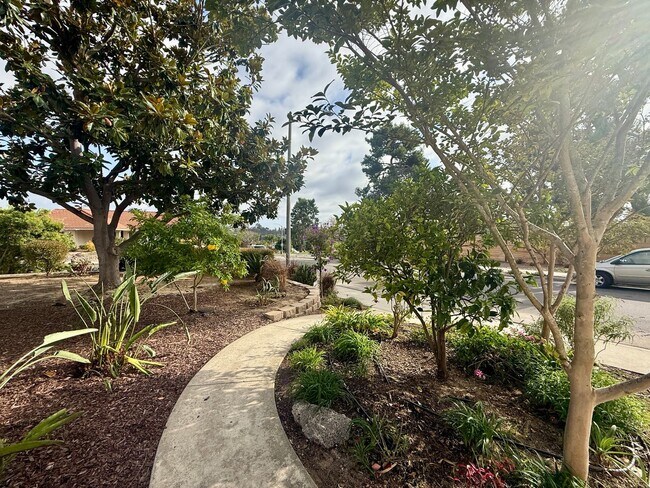 Foto del edificio - Remodeled Ranch Style Home in the Rancho P...