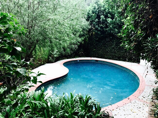 Foto del edificio - 3915 Benedict Canyon Dr